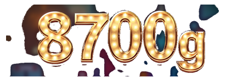 8700g logo